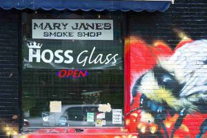420 smoke shop Port St Lucie storefront with Mary Janes signage, HOSS Glass display, and colorful bee mural